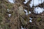 image027.jpg