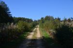 image045-small.jpg