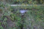 image051-small.jpg