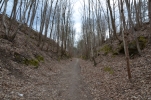 image011.jpg