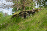 image014-small.jpg