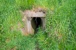 image031-small.jpg