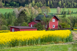image045-small.jpg