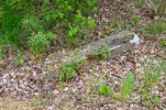 image032-small.jpg