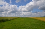 image019-small.jpg
