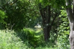 image021-small.jpg