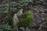 image029-small.jpg