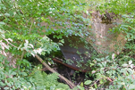 image021-small.jpg