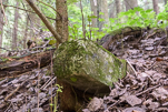 image023-small.jpg