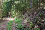 image024-small.jpg