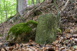 image031-small.jpg