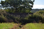 image016-small.jpg