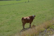 image049-small.jpg