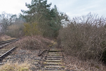 image021-small.jpg