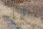 image024-small.jpg