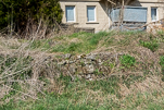 image054-small.jpg