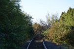 image003-small.jpg
