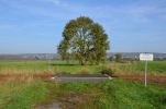 image007-small.jpg
