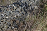 image017-small.jpg