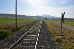 image202-small.jpg