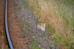 image025-small.jpg