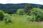 image008-small.jpg