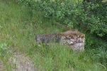 image015-small.jpg