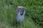 image019-small.jpg