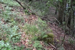 image024-small.jpg