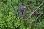 image028-small.jpg