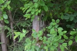 image030-small.jpg