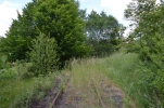 image201-small.jpg