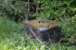 image606-small.jpg