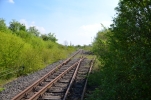 image009-small.jpg