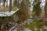 image310.jpg