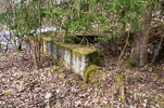 image312.jpg