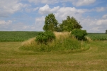 image079-small.jpg