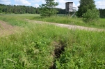 image010-small.jpg
