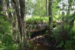 image013-small.jpg