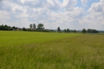 image014-small.jpg