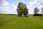 image038-small.jpg
