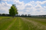 image040-small.jpg
