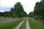 image060-small.jpg