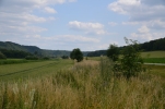 image022-small.jpg