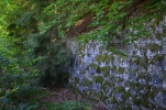 image019-small.jpg