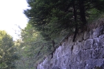 image020-small.jpg