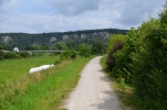 image036-small.jpg