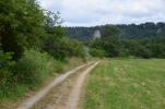 image1203-small.jpg
