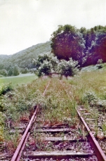 image2002-small.jpg