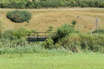 image021.jpg